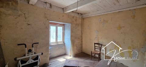 photo no. 3