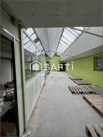 photo no. 2