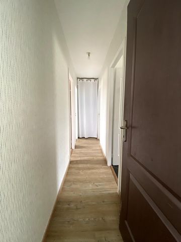 photo no. 9