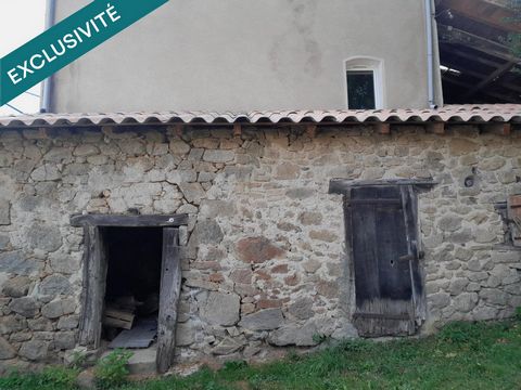 photo no. 10