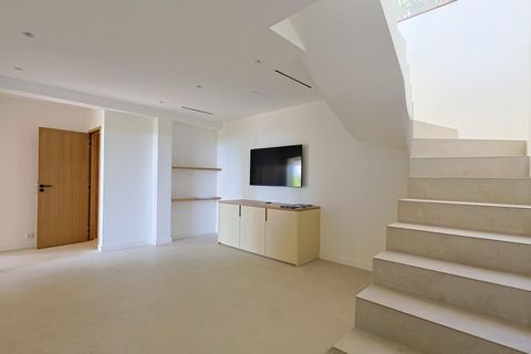 photo no. 12
