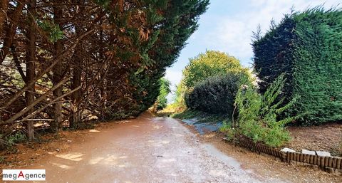 photo no. 13