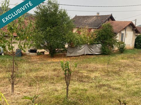 Rare en pleine ville