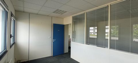 photo no. 6
