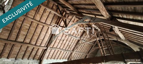 photo no. 14