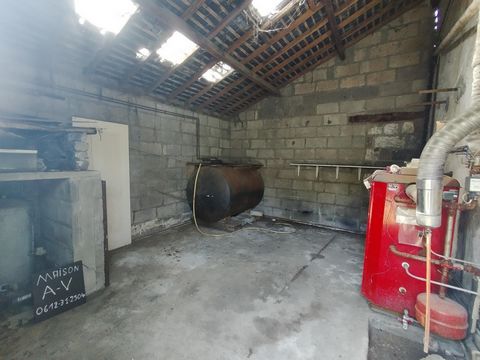photo no. 12