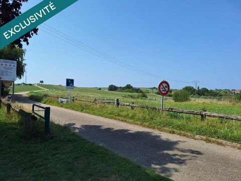 photo no. 3