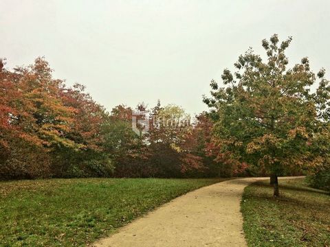 photo no. 17