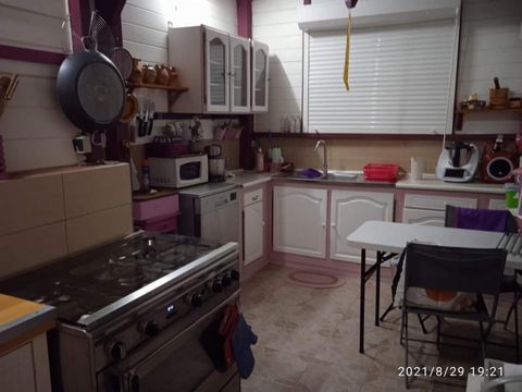 photo no. 10