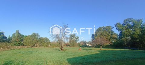 photo no. 1