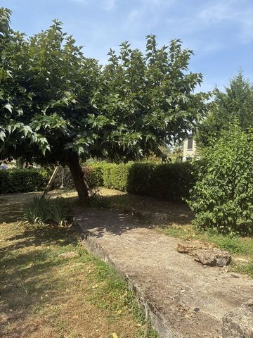 photo no. 9
