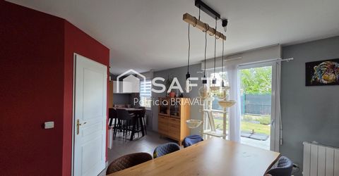 photo no. 11