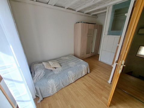 photo no. 8