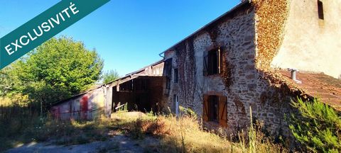 photo no. 2