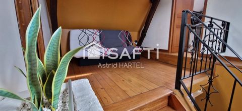 photo no. 12