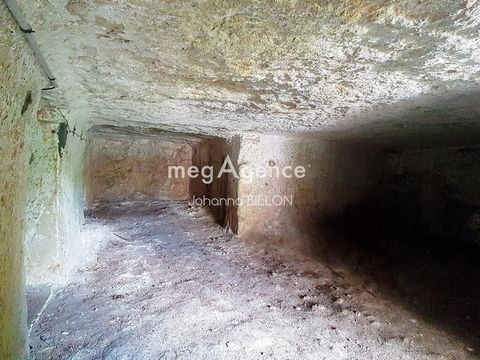 photo no. 12
