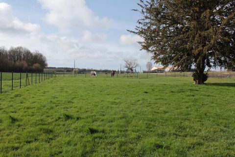 photo no. 6