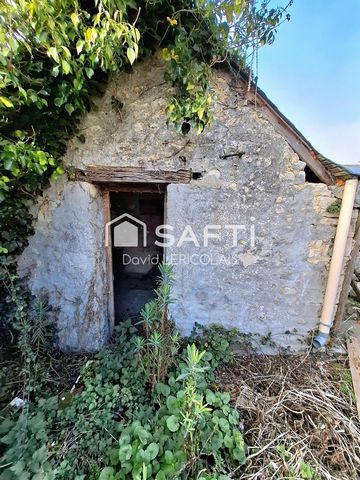 photo no. 10