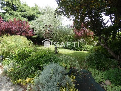 photo no. 7