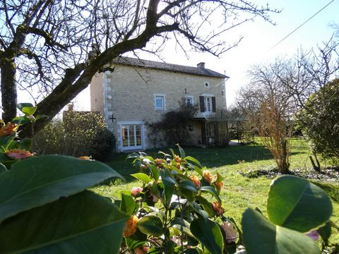 photo no. 1