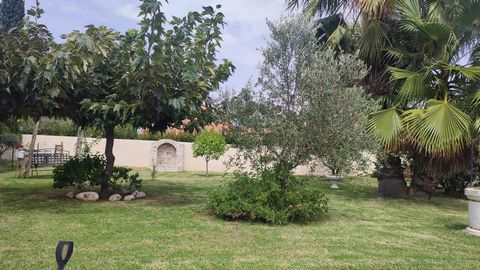 photo no. 1