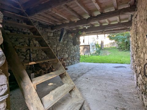 photo no. 11