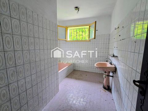 photo no. 18