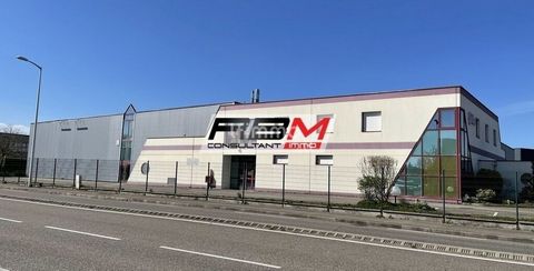 Ensemble immobilier industriel à Wittenheim (68270) - Haut-Rhin