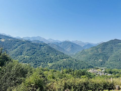photo no. 2