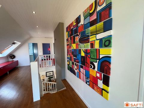 photo no. 12