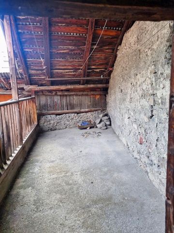 photo no. 7