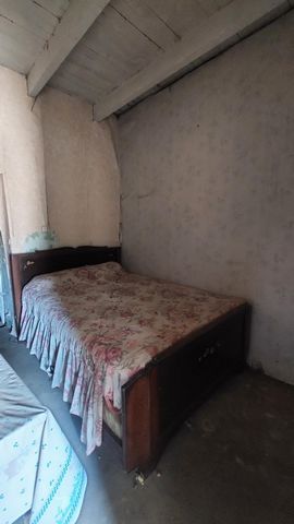 photo no. 4