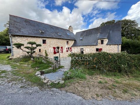 Grande Longere avec bois