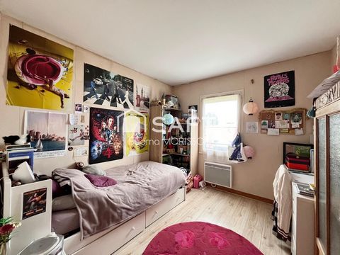 photo no. 8