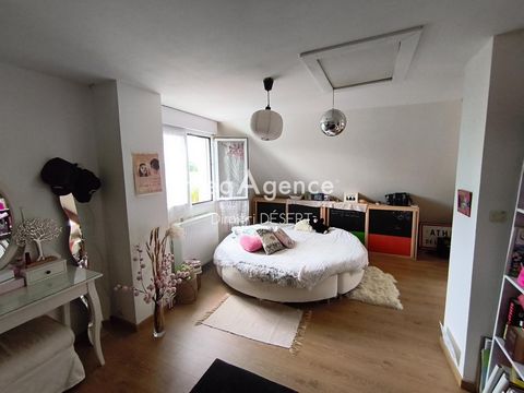 photo no. 10
