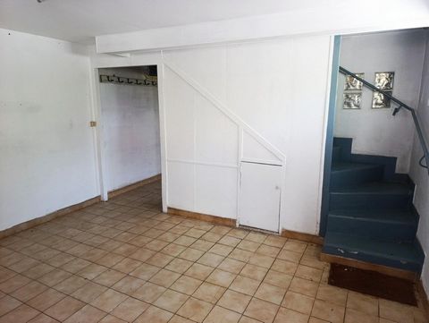 photo no. 12