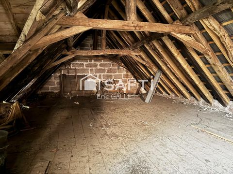 photo no. 4