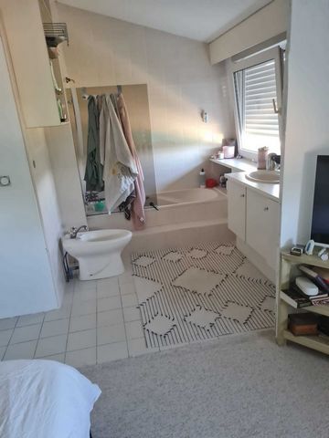 photo no. 16