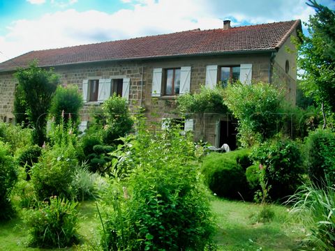 photo no. 10