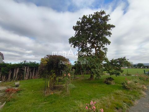 photo no. 11