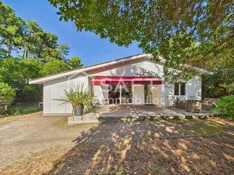 À vendre – Chalet Rousseaux à Lège-Cap-Ferret, parcelle exceptionnelle de 1015 m² à deux pas de la plage