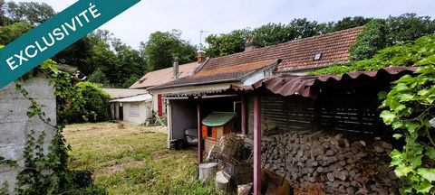 photo no. 2