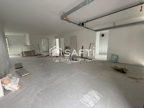 photo no. 6