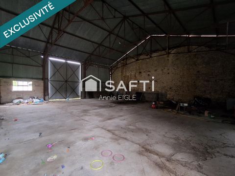 photo no. 10