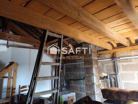 photo no. 10