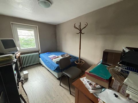 photo no. 10