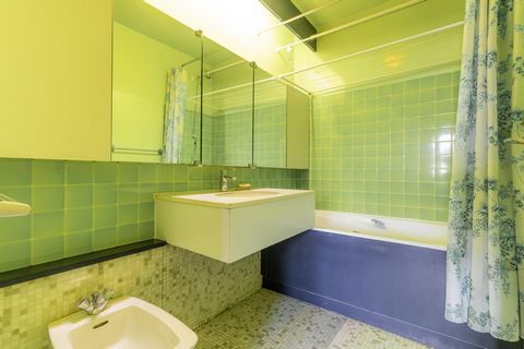 photo no. 11