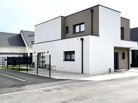 photo no. 2