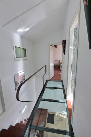 photo no. 8