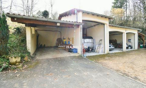photo no. 17